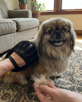 FurControl™ Glove