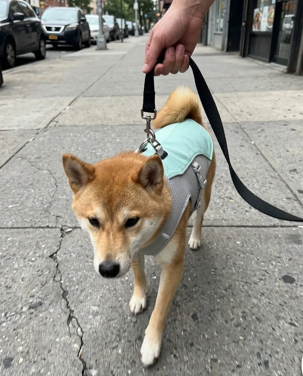 Yuki T. — review photo